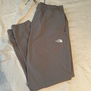 The North Face Men's Joggers in Gray